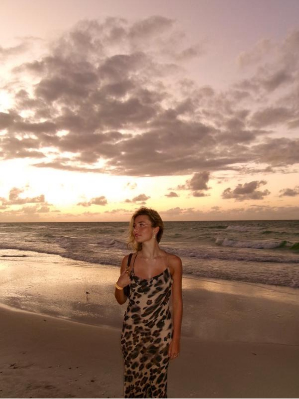 Dynamite Leopard Print Slip Summer Dress in Brown and Black